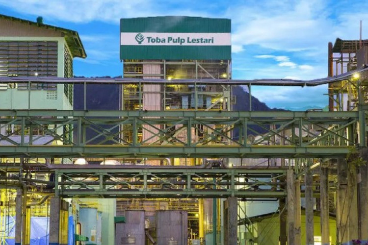 Modus Manipulasi HS Code Komoditas Pulp yang Menjerat PT Toba Pulp Lestari Tbk Sebagai Tersangka Korupsi Triliunan Rupiah