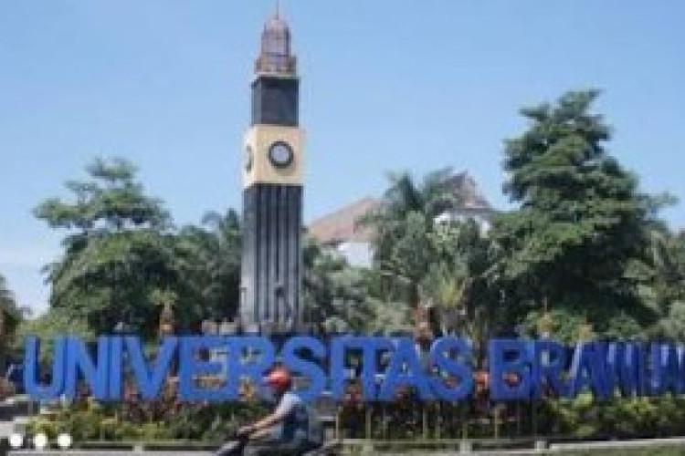 Dugaan Pelecehan Seksual Mahasiswa FBiPK UB Viral di X: Kronologi Terbongkarnya 900 File Intim Korban Magang
