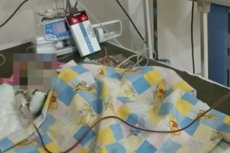 Bayi Alena Meninggal di Usia 24 Hari, Dugaan Dicekoki Telur Mentah Oleh Sang Nenek