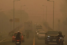 BMKG Deteksi Sebaran Asap Kebakaran Hutan Lahan Sumatra Mencapai Langit Jakarta Banten Serta Sebagian Jawa Barat