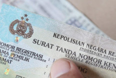 Penertiban Massal BBM Subsidi: 5.000 Nomor Polisi Kendaraan Diajukan Blokir Akibat Transaksi Curang