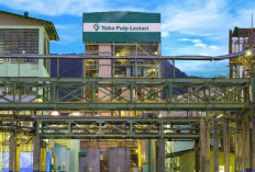 Modus Manipulasi HS Code Komoditas Pulp yang Menjerat PT Toba Pulp Lestari Tbk Sebagai Tersangka Korupsi Triliunan Rupiah