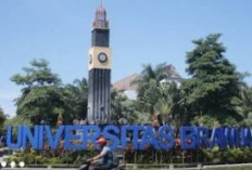 Dugaan Pelecehan Seksual Mahasiswa FBiPK UB Viral di X: Kronologi Terbongkarnya 900 File Intim Korban Magang