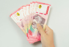 Cara Cek Status Penerima BSU Rp 900.000 Secara Online Lewat HP Pakai NIK KTP, Pastikan Nama Anda Terdaftar di BPJS Ketenagakerjaan