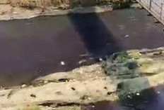 Geger Air Sungai Brantas Malang Mendadak Berubah Warna Menjadi Ungu Gelap, Diduga Berasal Dari Limbah Industri