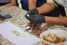  Nenek 62 Tahun Selundupkan 17 Gram Sabu di Dalam Ayam Goreng Krispi, Libatkan Tiga Narapidana