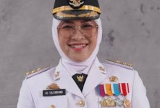 Profil Lengkap Bupati Gowa Sitti Husniah Talenrang Terkait Penonaktifan Pejabat