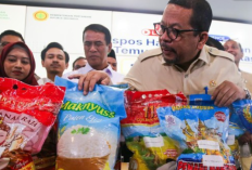 Daftar 25 Merek Beras Fortifikasi Tidak Memenuhi Standar, Kementan Ungkap Beras Premium yang Diklaim Fortifikas