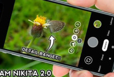 TERBARU Link Download Gcam Nikita 7.4 v2.0 MOD APK 2026, Kayak Google Pixel! Mode Malam Makin Jernih 