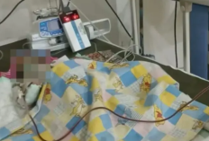 Bayi Alena Meninggal di Usia 24 Hari, Dugaan Dicekoki Telur Mentah Oleh Sang Nenek