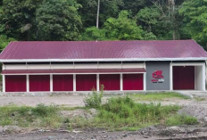 Manajer Kopdes Merah Putih Nasibnya Gimana? Lebih dari 20.000 Orang Digantungkan Nasibnya Hingga Luntang-Lantung